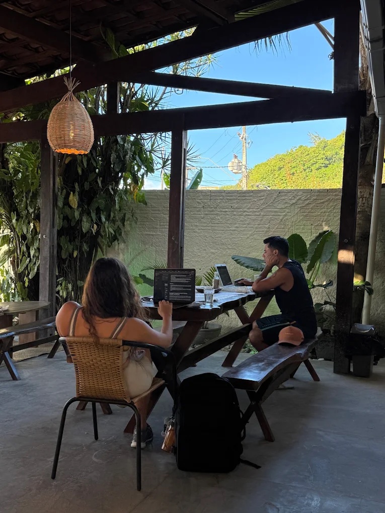 The CAYA coworking room with desks and hanging plants